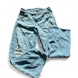 American Eagle Low-Rise Baggy Wide Leg Jeans Size 6